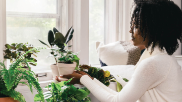 How to Improve Your Plants' Environment During Winter